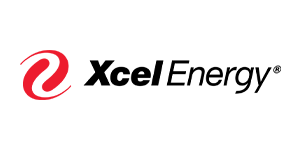 2026-Xcel-Energy - VPS Learning Ernst & Young logo: red square with the 'Ernst & Young' wordmark in black.